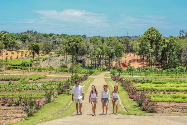 Safari Lagoi & Eco Farm